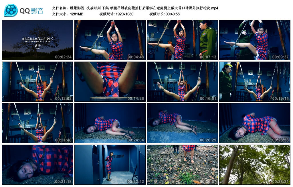 【胜景影视】决战时刻 下集