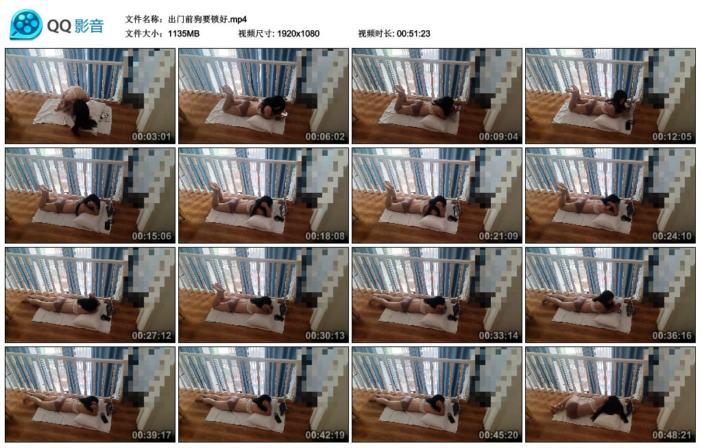 出门前狗要锁好