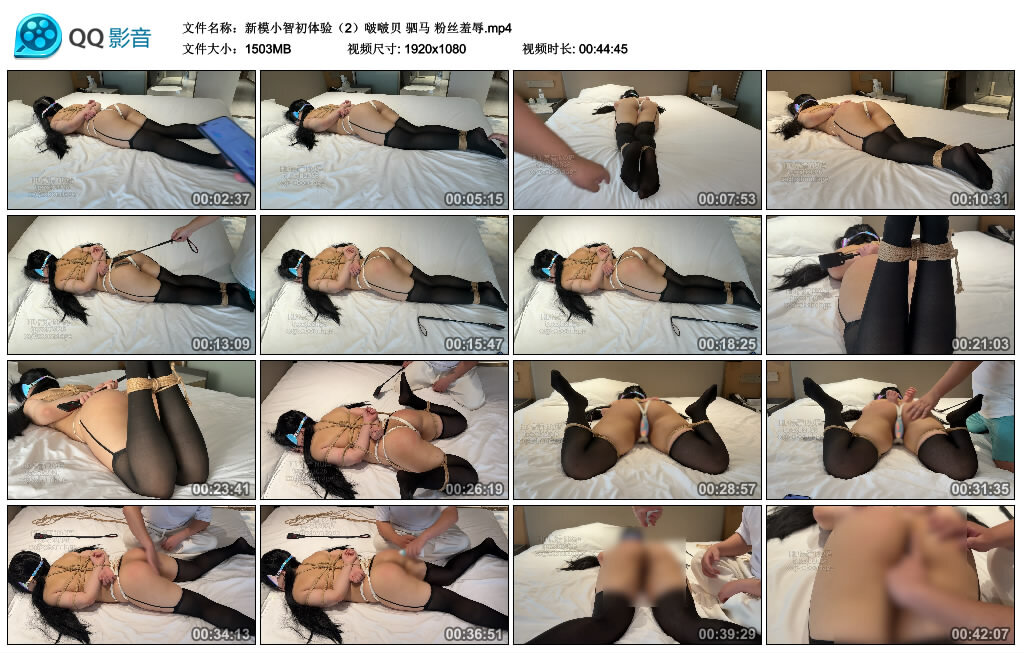 【新模小智初体验（2）啵啵贝】驷马 粉丝羞辱