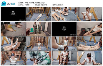 【李大侠】内部审查、特别考验三