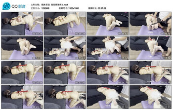 【眼眸原创】陪玩终被绑 II