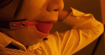 伪娘管少被态变摄影师玩弄蹂躏，戴上口球和电击项圈