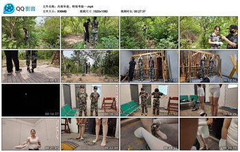 【李大侠】内部审查、特别考验一