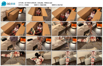 盒子里的少女黑丝JK、白丝Lolita、郊狼电击