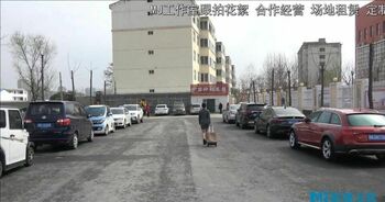 无知与贪婪的结局