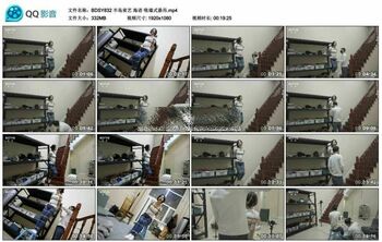 半岛束艺 海语 吸墙式悬吊