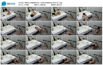 【绯影责东】绑成k9居家生活，因为等不到爸爸回家下床回不去了