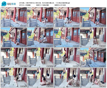 【小狗の饲育日记】闹市古巷，车水马龙的大殿之旁，一只小狗正在被折磨