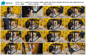 【道士下山】 绝望的笼子 笼子+囚禁+虐待 +头脚固定 卡紧折磨 +皮鞭+tk+双腿...